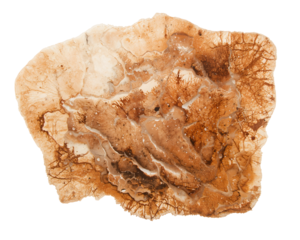 Detailed texture close up showing intricate patterns of travertine stone formation