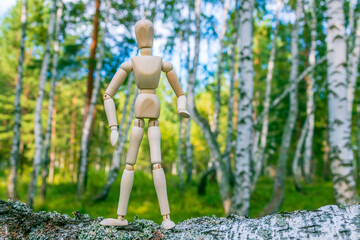 A wooden figure stands on a log in a forest