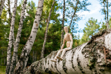 A man in a wooden figure sits on a tree branch in a forest