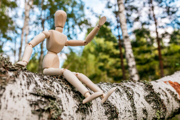 A wooden doll sits on a tree branch in a summer forest