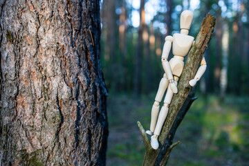A wooden figure is sitting on a tree branch in a forest