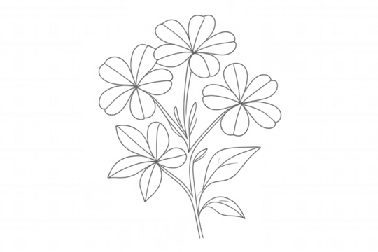 Hand drawn flower bouquet line art illustration on transparent background, minimalist floral design graphic element - Powered by Adobe
