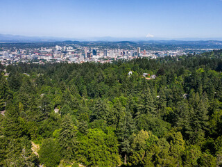 Obraz premium Aerial landscape of Portland forest park nature view on sunny summer day in Oregon PNW