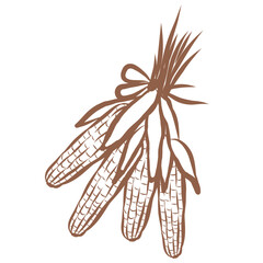 Line Art of Corn Illustration. Hand-Drawn Doodle.