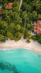 Aerial view of tropical beach with palm trees and turquoise water, showcasing serene coastal resort