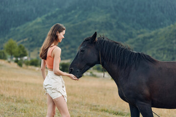 A cheerful woman stands in a grassy field, gently reaching toward a horse, creating a peaceful, intimate moment of trust and connection between human and animal.