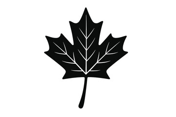 Maple leaf vector icon, black silhouette style. Canadian symbol for Canada Day & Thanksgiving. Autumn fall foliage graphic design element isolated on white background. Nature.