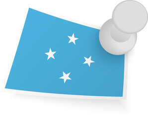 Micronesia Flag with Pin