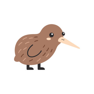 Cute cartoon kiwi bird standing on a white background, ideal for children's illustrations