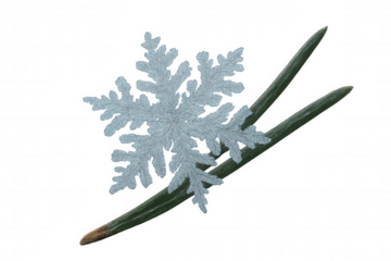 Snowflake resting on pine needles, representing winter elements and holiday season themes on transparent background