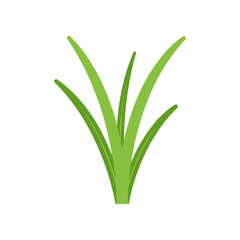 Vibrant green grass blades swaying gently in a sunny outdoor setting, ideal for nature themes