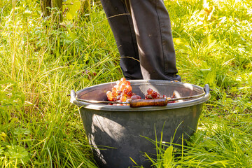 Close-up of green grapes hanging on the vine during harvest season, sunlit leaves surrounding ripe clusters in a vineyard, symbolizing viticulture, fresh fruit, and traditional winemaking in late summ