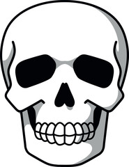 Stylized human skull illustration isolated vector art vector