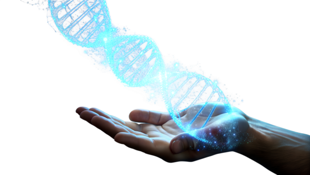 Dna strand floating above a hand isolated on transparent background, representing genetics, biology, and biotechnology