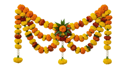 Marigold toran. Marigold. isolated on a white Background
