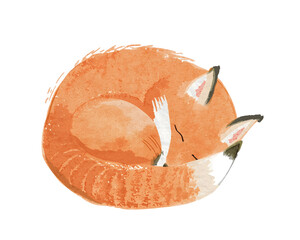 Adorable watercolor illustration of a sleeping fox in a curled position, a peaceful and artistic image
