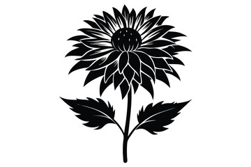 Graphic Illustration of Black Chrysanthemum Flower with Stem and Leaves on White