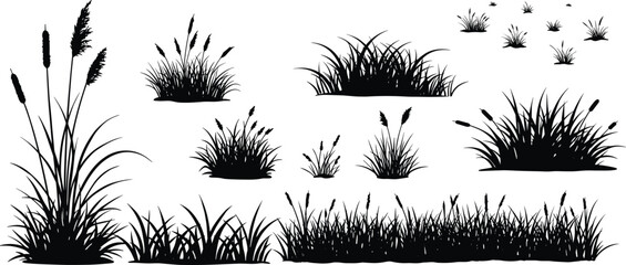Grass and reed silhouette set, wild vegetation, black vector icons, flowering plants, white background, hand-drawn style, nature element, landscape design