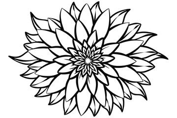 Detailed Black and White Flower Illustration with Multiple Layers of Pointed Petals