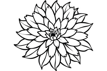 Outlined Dahlia Flower Illustration with Detailed Petals and Intricate Design for Coloring Books