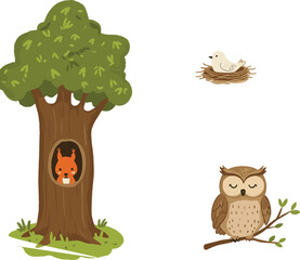 Woodland animal habitat illustration, squirrel in tree, bird nest, owl on branch, hand-drawn vector, white background, forest wildlife, nature concept