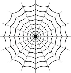 Obraz premium Detailed circular spiderweb design element with black lines on transparent background silhouette
