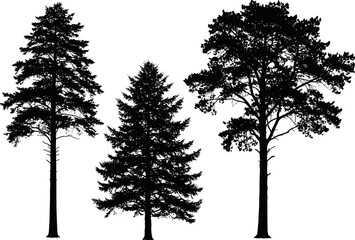 Silhouette set of three different tree shapes isolated on white background, perfect for nature, forestry, landscape, and botanical design themes.