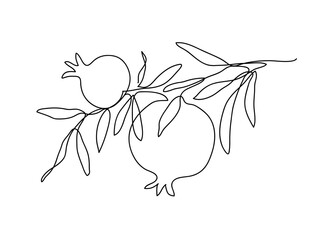 Branch with pomegranates and leaves. Shana Tova. Modern single line art drawing. Continuous line drawing. Vector illustration.
