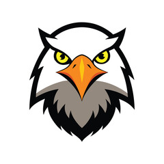 Fototapeta premium angry eagle face vector art