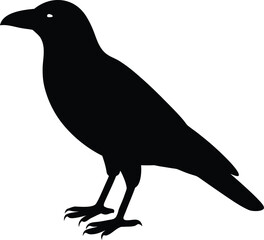 Crow silhouette vector art illustration