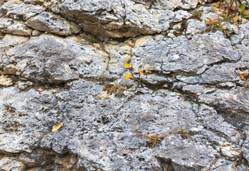A fragment of limestone rock on a section of a stone canyon on an autumn day
