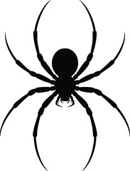 Black spider illustration with detailed legs on transparent background silhouette