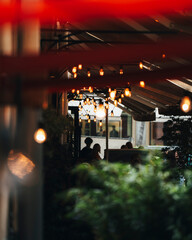 stylish light bulbs in the cafe