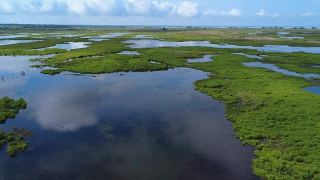 Aerial drone view of Florida swamp wetlands and marsh landscape
