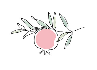 Branch with pomegranate. Shana Tova. Modern single line art drawing. Continuous line drawing. Outline draw design vector color illustration.