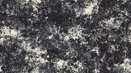 Grunge texture background with black and white speckled patterns.