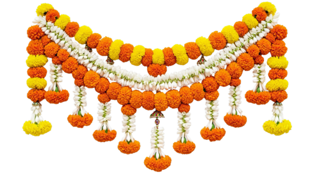 Marigold flower, Marigold toran. Marigold. isolated on a white Background