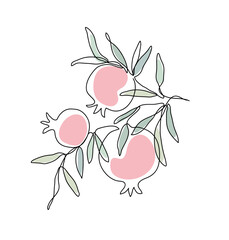 Branch with pomegranates and leaves. Shana Tova. Modern single line art drawing. Continuous line drawing. Vector illustration
