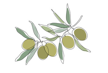 Olive branch. Modern single line art drawing. Continuous line drawing. Outline draw design color vector illustration