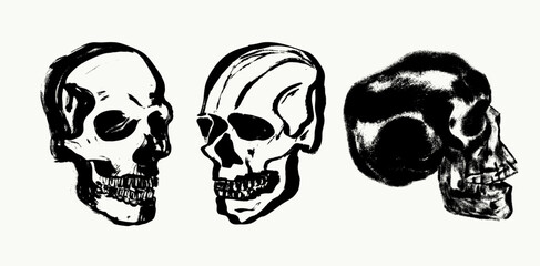 Set of hand drawn human skull illustration in vintage charcoal ink and black brush texture. Vector sketch symbolizing Halloween, tattoo art, skeleton design and Day of the Dead decoration.