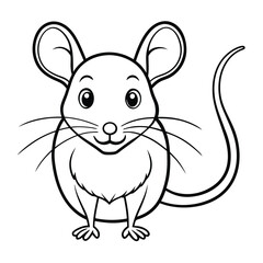 rabbit on a white background