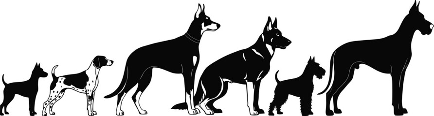 Dog silhouettes in size order, terrier to Great Dane, black vector pets, breed comparison, cad drawing flat vector illustration