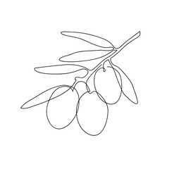 Olive branch. Modern single line art drawing. Continuous line drawing. Outline draw design vector illustration