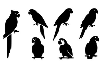 Parrot bird silhouette collection