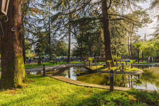 View of sunlight kissing the lush green grass and trees surrounding a tranquil pond with a stone bridge in Batumi, Adjara, Georgia.