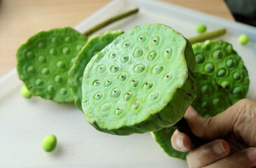 A hand gently holds several fresh, vibrant green lotus seed pods, ready to eat. These edible seeds...
