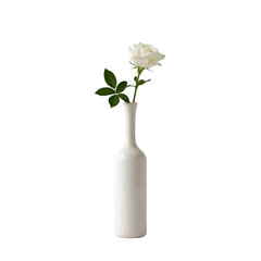 white rose in a vase