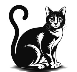 Elegant black cat with white markings a striking silhouette on transparent background