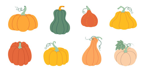 Pumpkin set. Pumpkin and squash different colors and sizes. Hand drawn trendy flat style isolated on transparent background. Thanksgiving, farm harvest. Vector illustration
