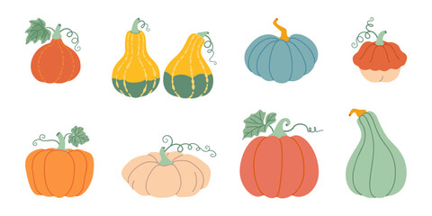 Pumpkin set. Pumpkin and squash different colors and sizes. Hand drawn trendy flat style isolated on transparent background. Thanksgiving, farm harvest. Vector illustration